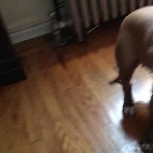 Meet your Posher, Jeffrie